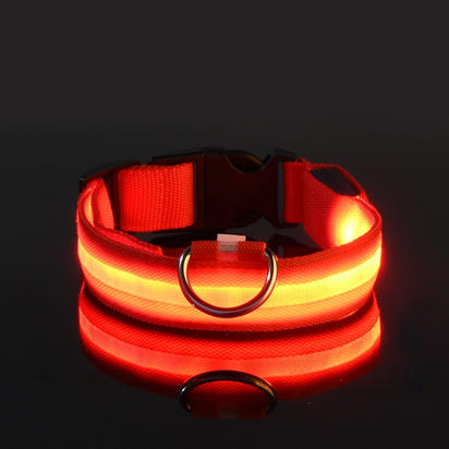 Luminous LED Pet Safety Leash™