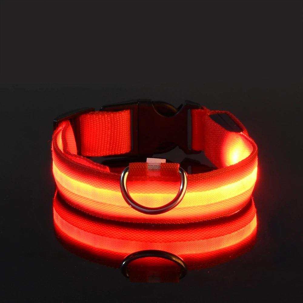 Luminous LED Pet Safety Leash™