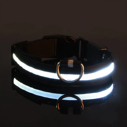 Luminous LED Pet Safety Leash™