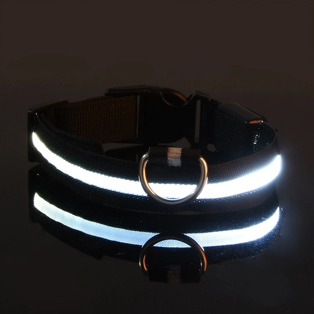 Luminous LED Pet Safety Leash™