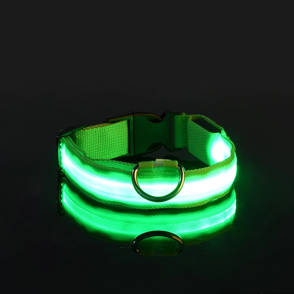 Luminous LED Pet Safety Leash™