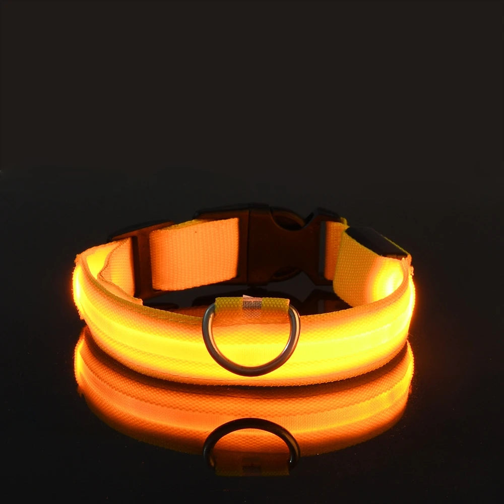 Luminous LED Pet Safety Leash™