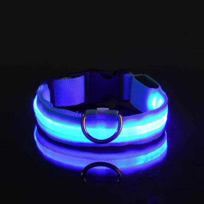 Luminous LED Pet Safety Leash™