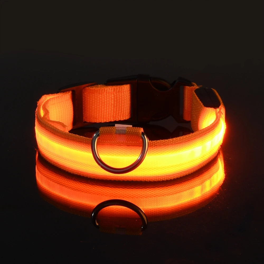 Luminous LED Pet Safety Leash™