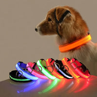 Luminous LED Pet Safety Leash™