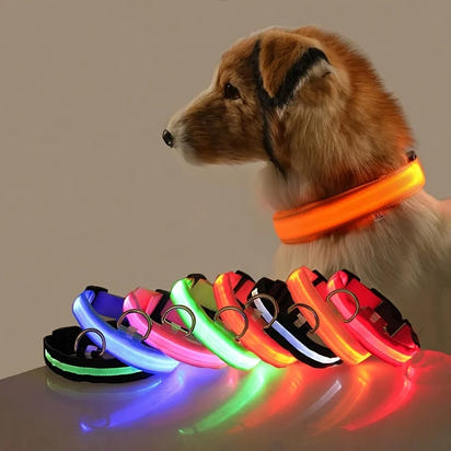 Luminous LED Pet Safety Leash™