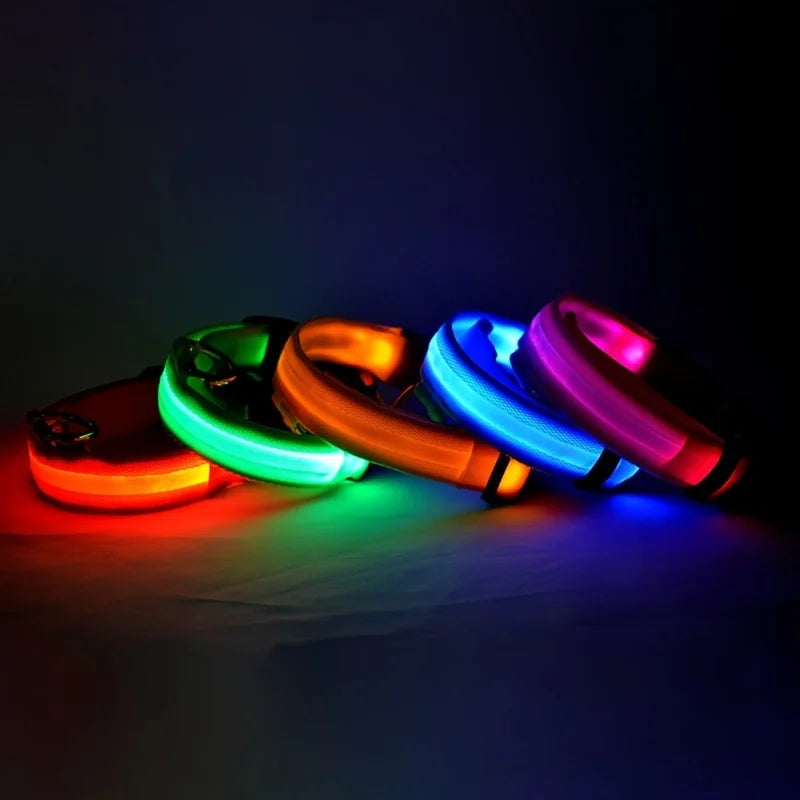 Luminous LED Pet Safety Leash™
