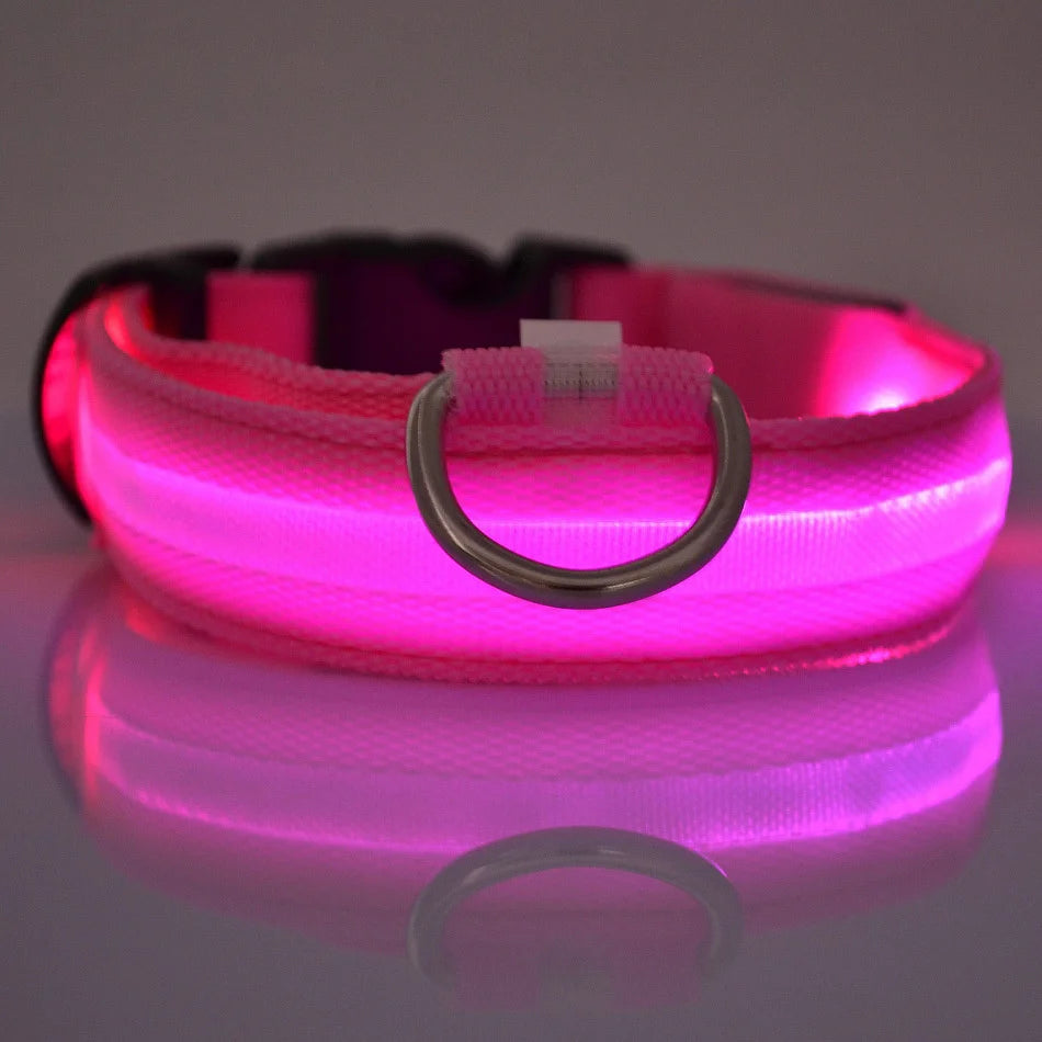 Luminous LED Pet Safety Leash™