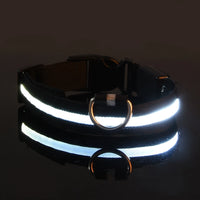 Luminous LED Pet Safety Leash™