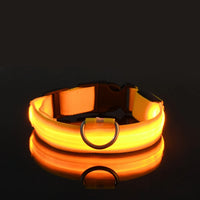 Luminous LED Pet Safety Leash™