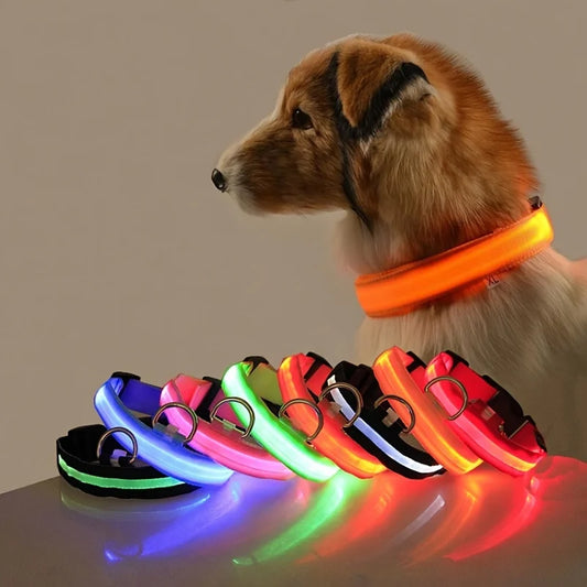 Luminous LED Pet Safety Leash™