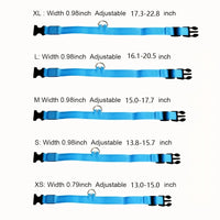 Luminous LED Pet Safety Leash™